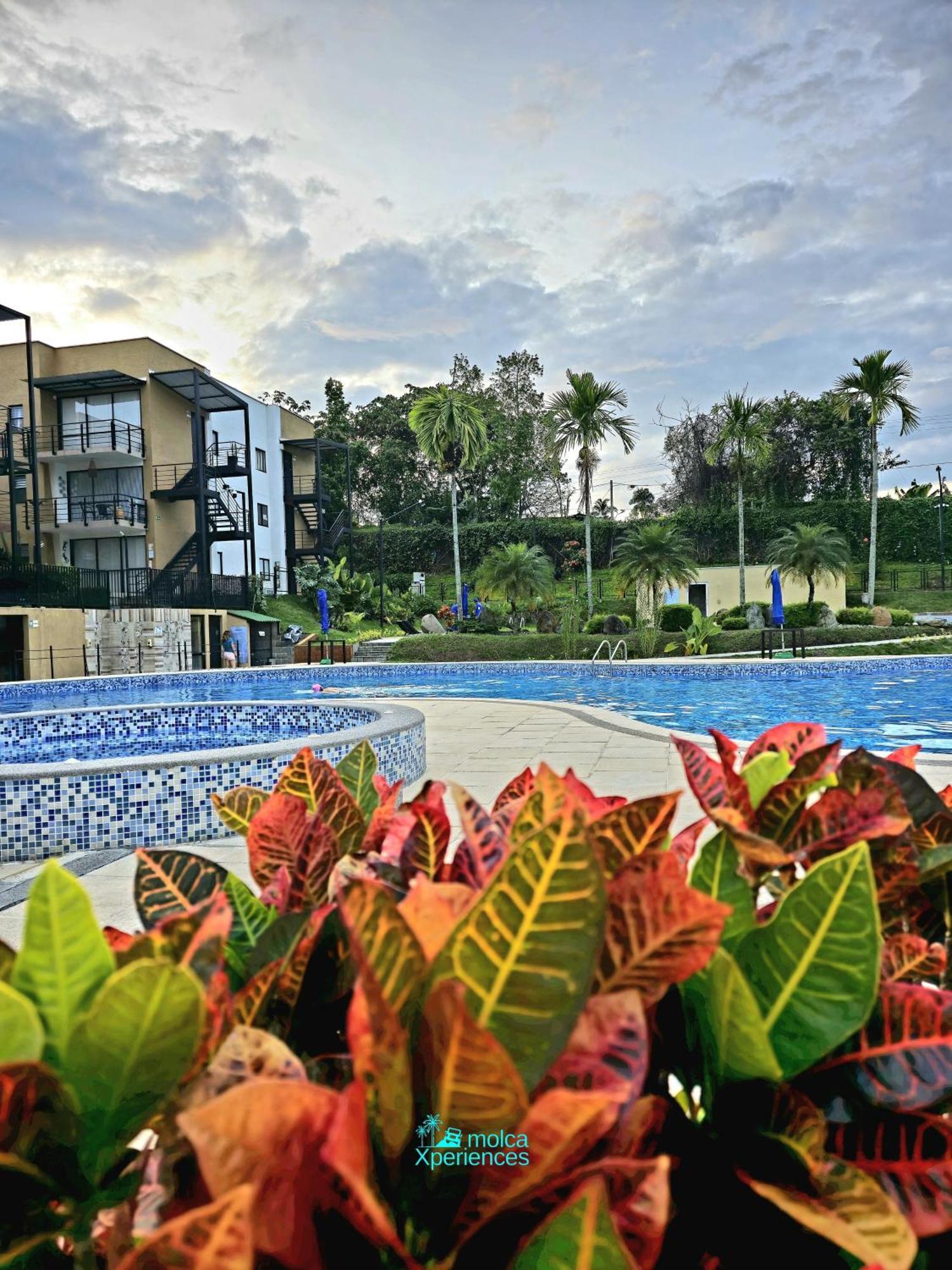 Apartamento Privado Vacacional A 5M Del Aeropuerto, 20 Minutos Del Parque Del Cafe Y Centro De Armenia Con 4 Piscinas, 3 Jacuzzi, Sauna By Molca Xperiences 2H Екстериор снимка